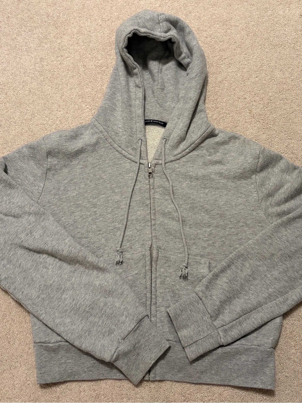 Brandy Melville Gray Zip-Up Hoodie